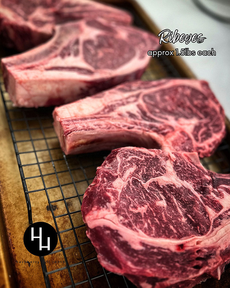 Hackberry Hill Sampler